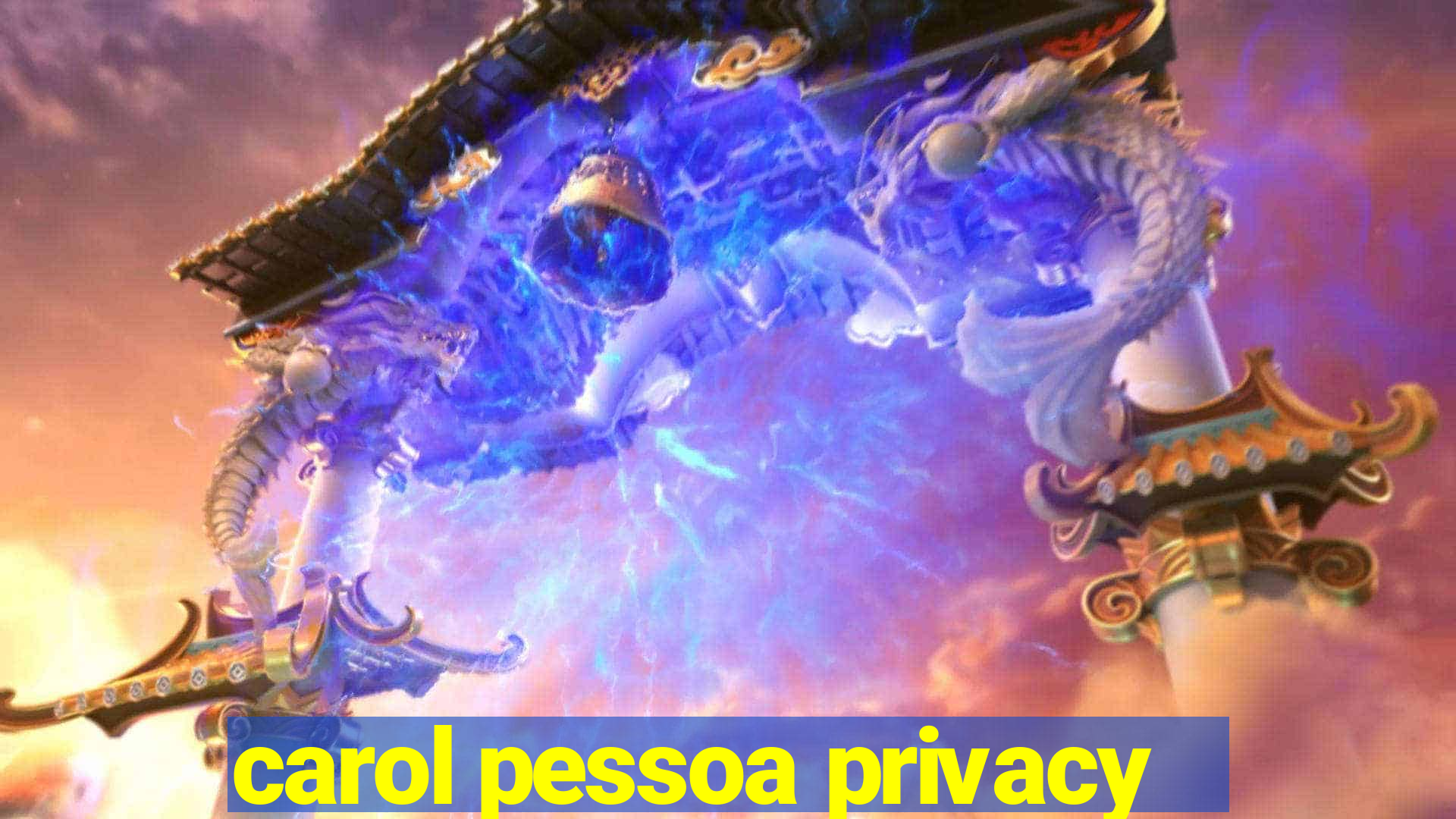 carol pessoa privacy